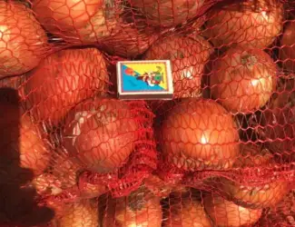 Зображення для оголошення Гуртовий продаж товарної цибулі
