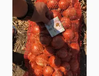 Зображення для оголошення Продаж цибулі