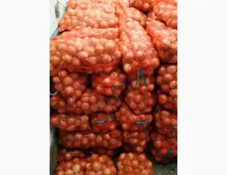 Зображення для оголошення Оптом продам товарну цибулю