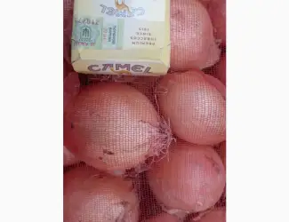 Зображення для оголошення Купуємо цибулю ріпчату