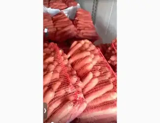 Зображення для оголошення Продам морковь