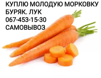 Зображення для оголошення Куплю морковку МОРКВУ дорого0