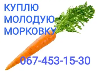 Зображення для оголошення Куплю морковку самовывоз
