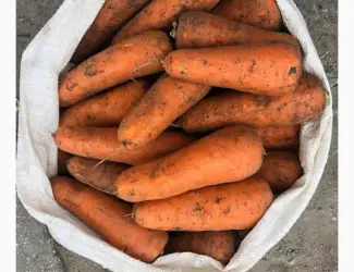 Зображення для оголошення Продам моркву товарну оптом