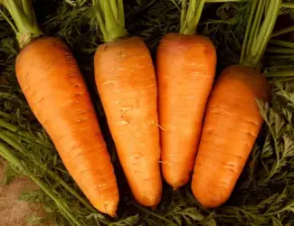 Зображення для оголошення Продам моркву відмінної якості оптом