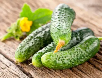 Зображення для оголошення Куплю свежий огурец