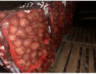 Зображення для оголошення Продаємо буряк оптом