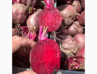 Зображення для оголошення Продам свеклу