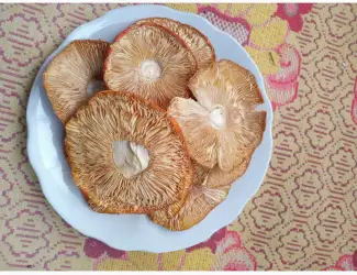 Зображення для оголошення Мухомор сушений
