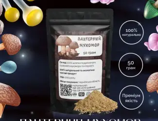 Зображення для оголошення Мухомор Пантерний мелені шляпки