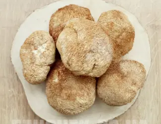 Зображення для оголошення ЕЖОВИК ГРЕБЕНЧАТЫЙ купить. Львиная Грива Герициум Ежевик гриб Качество