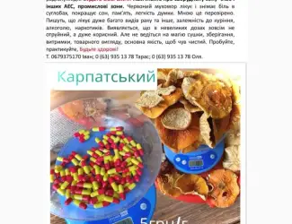 Зображення для оголошення Мухомор сушений