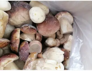 Зображення для оголошення Продам білі гриби морожені
