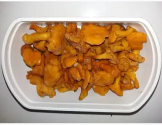 Зображення для оголошення Лисичка морожена