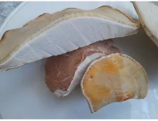 Зображення для оголошення Губка березова