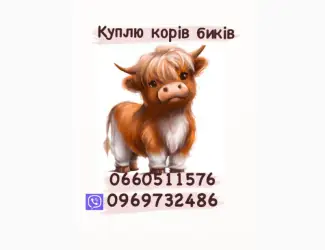 Зображення для оголошення Куплю корів та баранів коней та бичків