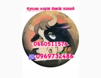 Зображення для оголошення Куплю биків поросят дорого свиней свиноматки