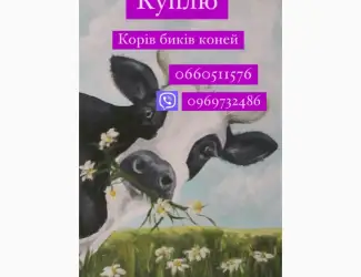 Зображення для оголошення Куплю коней корів телят баранів Дорого