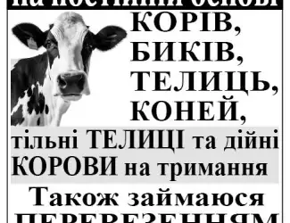 Зображення для оголошення Закупівля врх та продаж