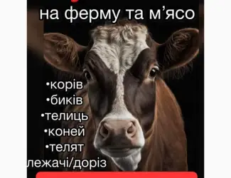 Зображення для оголошення Закупівля врх