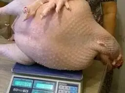 Зображення для оголошення Домашнее мясо