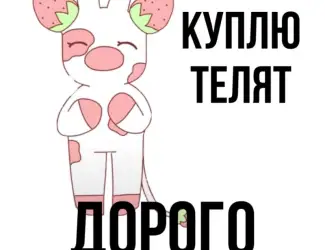 Зображення для оголошення Куплю телята бычки КРС