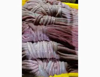 Зображення для оголошення Куплю кишку свиную