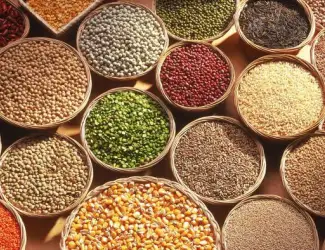 Зображення для оголошення Продажа зерна: пшеница, кукуруза, соя и др
