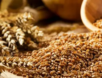 Зображення для оголошення Продажа зерновых и масличных культур