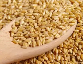 Зображення для оголошення Куплю фуражну та продовольчу пшеницю