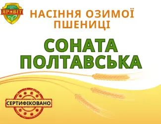 Зображення для оголошення Насіння озима пшениця "Соната полтавська"