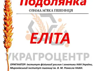 Зображення для оголошення Насіння озимої пшениці ПОДОЛЯНКА еліта 2025