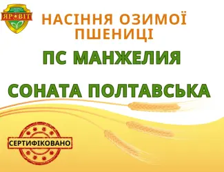 Зображення для оголошення Насіння озимої пшениці