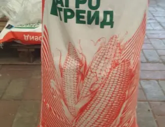 Зображення для оголошення Насіння Кукурудзи ДБ Хотин ФАО-280