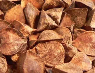 Зображення для оголошення Закупаем гречиху
