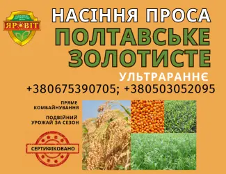 Зображення для оголошення Насіння просо
