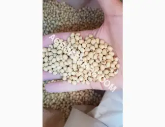 Зображення для оголошення Семена сои DREM Канадский трансгенный сорт. (усточива к глифосату)