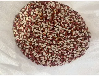 Зображення для оголошення Продам Фасоль Червона шапочка