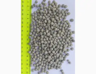 Зображення для оголошення Горох зеленый 150 тонн Хмельницка обл