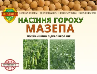 Зображення для оголошення Горох посівний