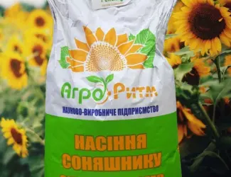 Зображення для оголошення Соняшник Рекольд під Гранстар