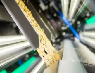 Зображення для оголошення Семечка калібрована Лакомка насіння соняшника
