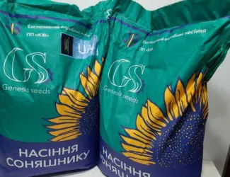 Зображення для оголошення Семена подсолнечника ПРИВАТ под гранстар
