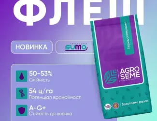 Зображення для оголошення Насіння соняшнику гібрид Флеш безпосередньо від виробника