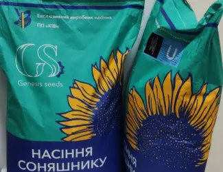 Зображення для оголошення Семена Подсолнуха Под Гранстар гибрид КОЗАК