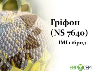 Зображення для оголошення Насіння соняшника Гріфон NS 7640