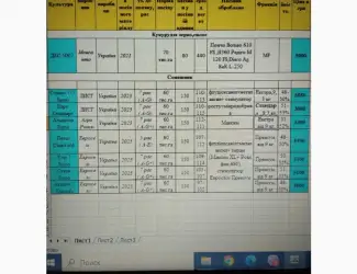 Зображення для оголошення Продам насіння соняшнику Альдазор( Гранстар)