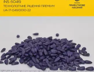 Зображення для оголошення Продам насіння соняшнику Тор( Гранстар)