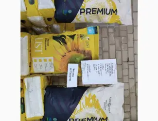Зображення для оголошення Продам насіння соняшнику Авалон