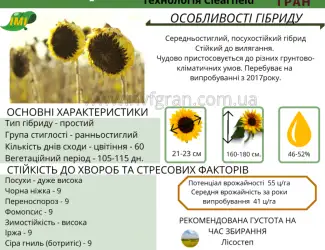 Зображення для оголошення Насіння від виробника - ІМІ гібрид соняшника - Альварез